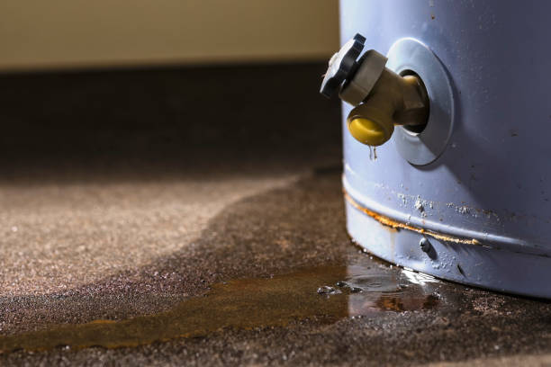 Best Water damage restoration near me  in Thornton, CO