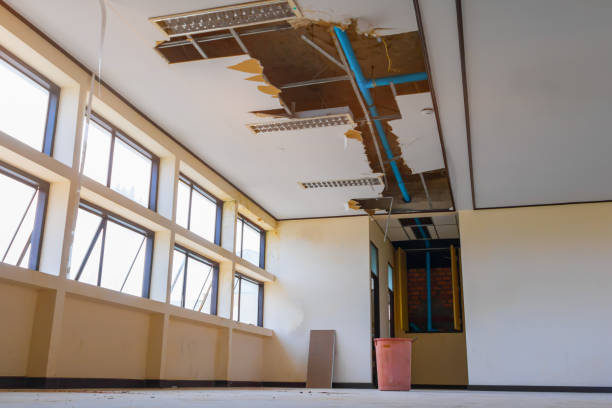 Best 24-hour water damage restoration  in Thornton, CO