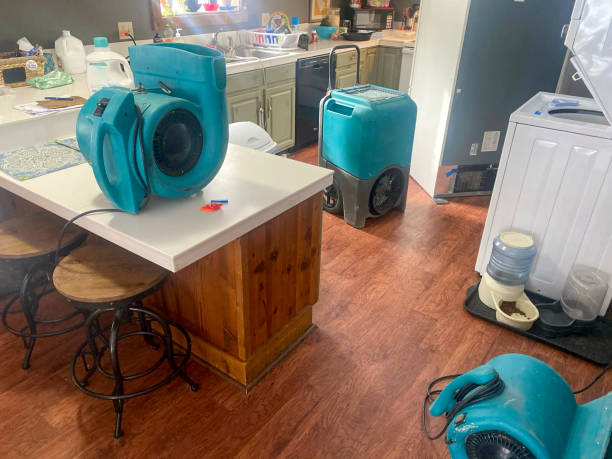Carpet water damage restoration in Thornton, CO