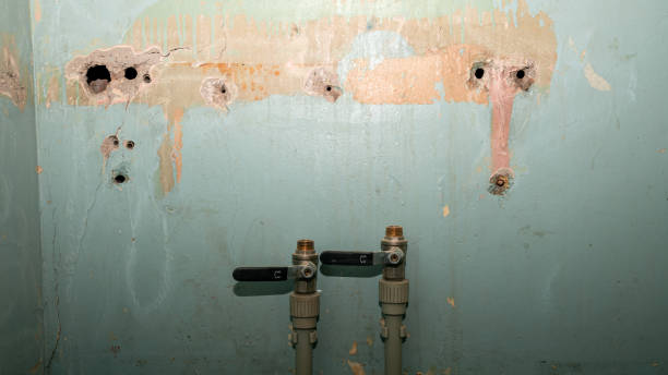 Best Emergency water damage restoration  in Thornton, CO