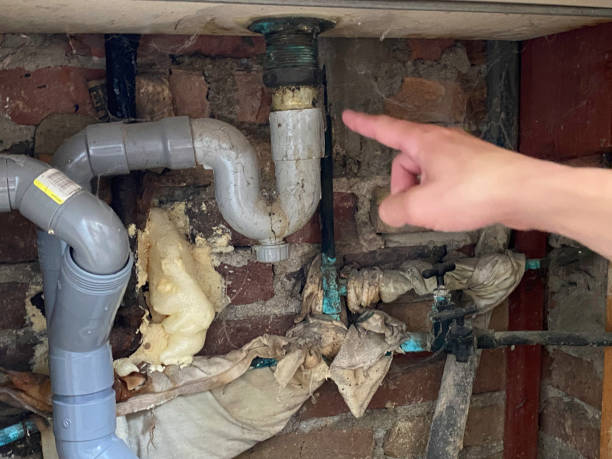 Reliable Thornton, CO Water damage restoration Solutions