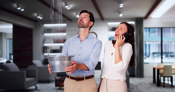 Best Flood damage cleanup  in Thornton, CO